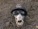 photo thumbnail #7