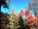 photo thumbnail #5