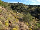 photo thumbnail #8