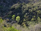 photo thumbnail #9