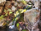 photo thumbnail #10