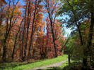 photo thumbnail #7