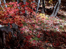photo thumbnail #9
