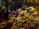 photo thumbnail #11