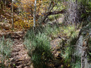 photo thumbnail #14