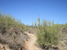 photo thumbnail #2