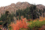 photo thumbnail #4