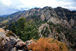 photo thumbnail #8
