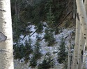 photo thumbnail #13