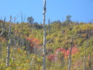 photo thumbnail #2