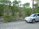 photo thumbnail #1