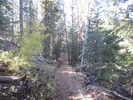 photo thumbnail #6