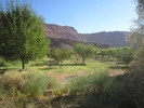 photo thumbnail #5