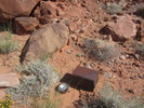 photo thumbnail #7