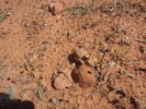 photo thumbnail #13