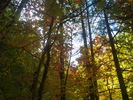 photo thumbnail #11