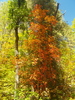 photo thumbnail #14