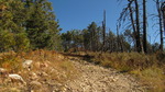 photo thumbnail #2