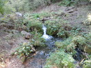 photo thumbnail #10