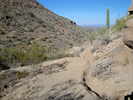 photo thumbnail #2