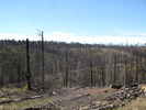 photo thumbnail #3