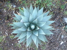 photo thumbnail #1