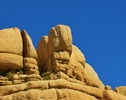 photo thumbnail #12
