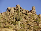 photo thumbnail #1