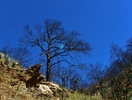 photo thumbnail #11