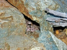 photo thumbnail #13