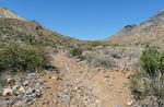 photo thumbnail #13