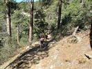 photo thumbnail #9