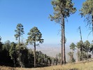 photo thumbnail #14