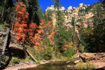 photo thumbnail #15