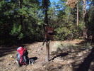 photo thumbnail #3