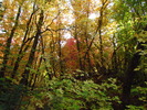 photo thumbnail #9