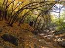 photo thumbnail #10