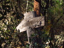 photo thumbnail #11