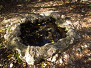 photo thumbnail #12