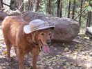 photo thumbnail #6