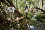 photo thumbnail #14