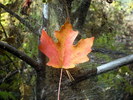 photo thumbnail #1