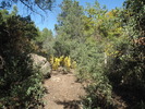 photo thumbnail #7