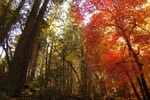 photo thumbnail #9