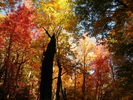 photo thumbnail #11