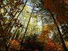 photo thumbnail #15