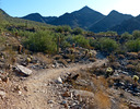 photo thumbnail #1