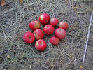 photo thumbnail #4