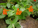 photo thumbnail #15