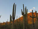 photo thumbnail #7